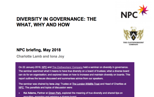 Diversity in governance front cover