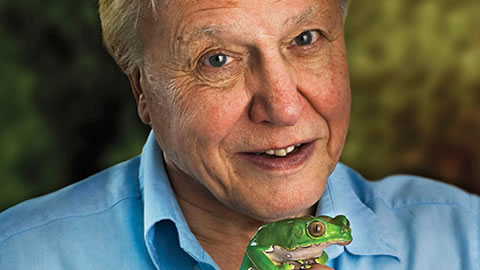 David Attenborough