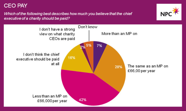 CEO pay pie chart