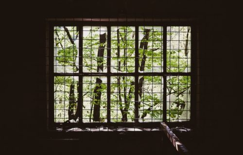 A window with a grate over it, looking out onto some trees