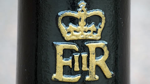 monarch's marking