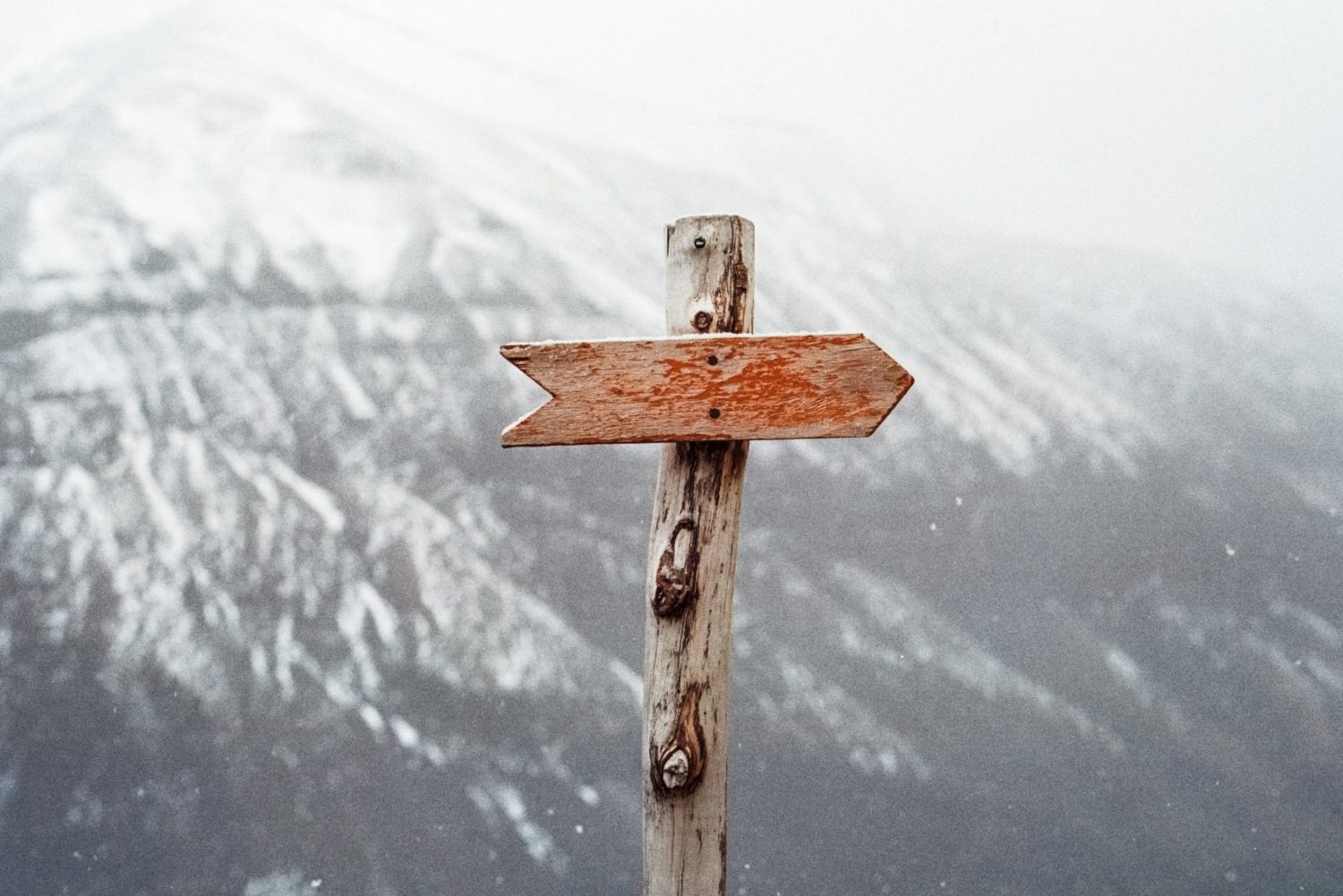 Signpost+: How might we improve signposting for young people? - NPC
