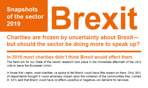 Snapshots of the sector 2019 - Brexit front cover