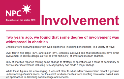 Snapshots of the sector 2019 - involvement report front cover