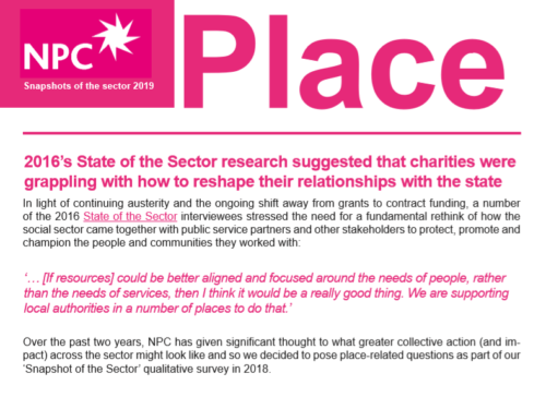 Snapshot of the sector - Place report front cover