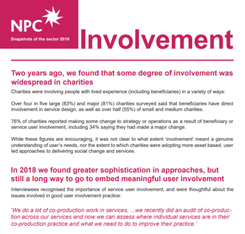 Snapshots of the sector 2019 - Involvement report cover
