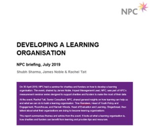 Developing a learning organisation report front cover