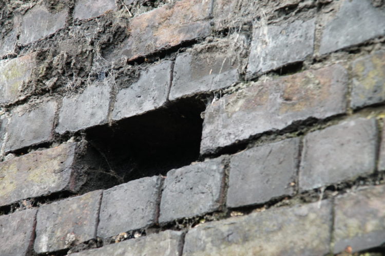 bricks