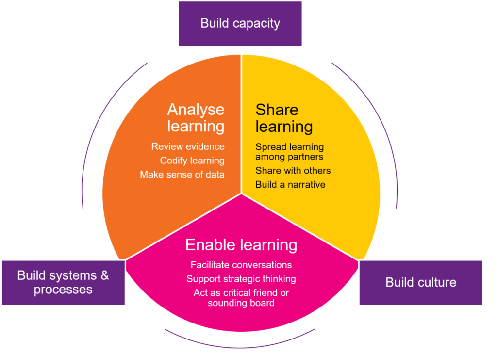 Diagram shows 'Enabling learning' 'Analysing learning' and 'Sharing learning' coming together with 'Building capacity' 'building culture' and 'building systems and processes' to form a circle.