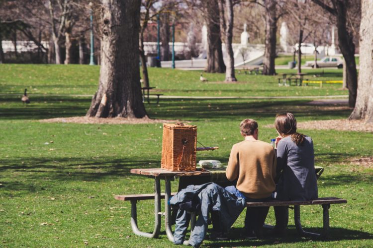 park picnic