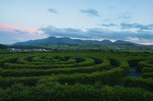 A maze