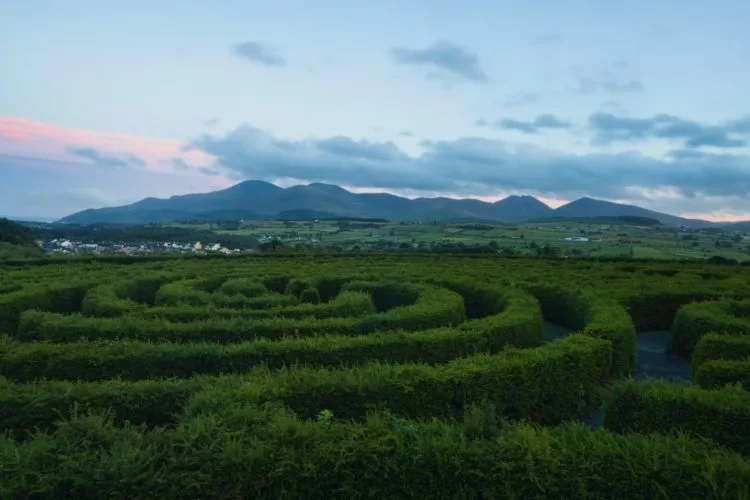 A maze